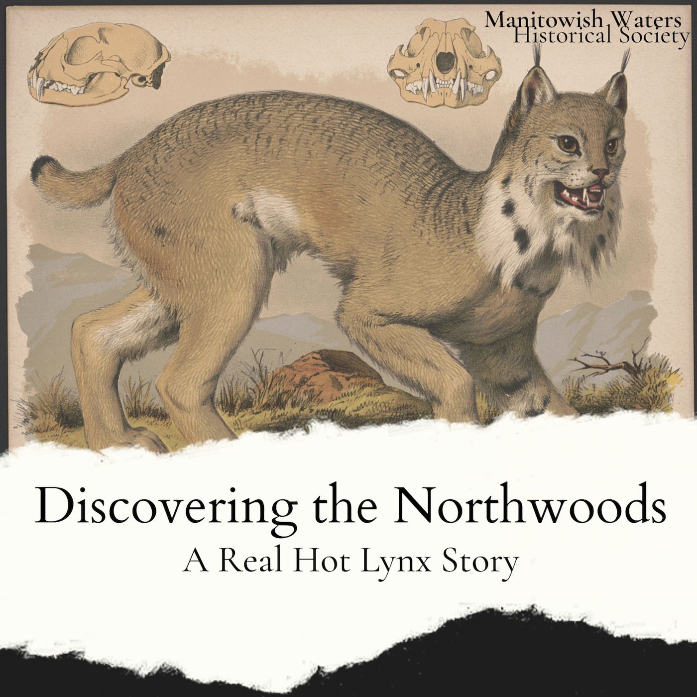 Discovering the Northwoods