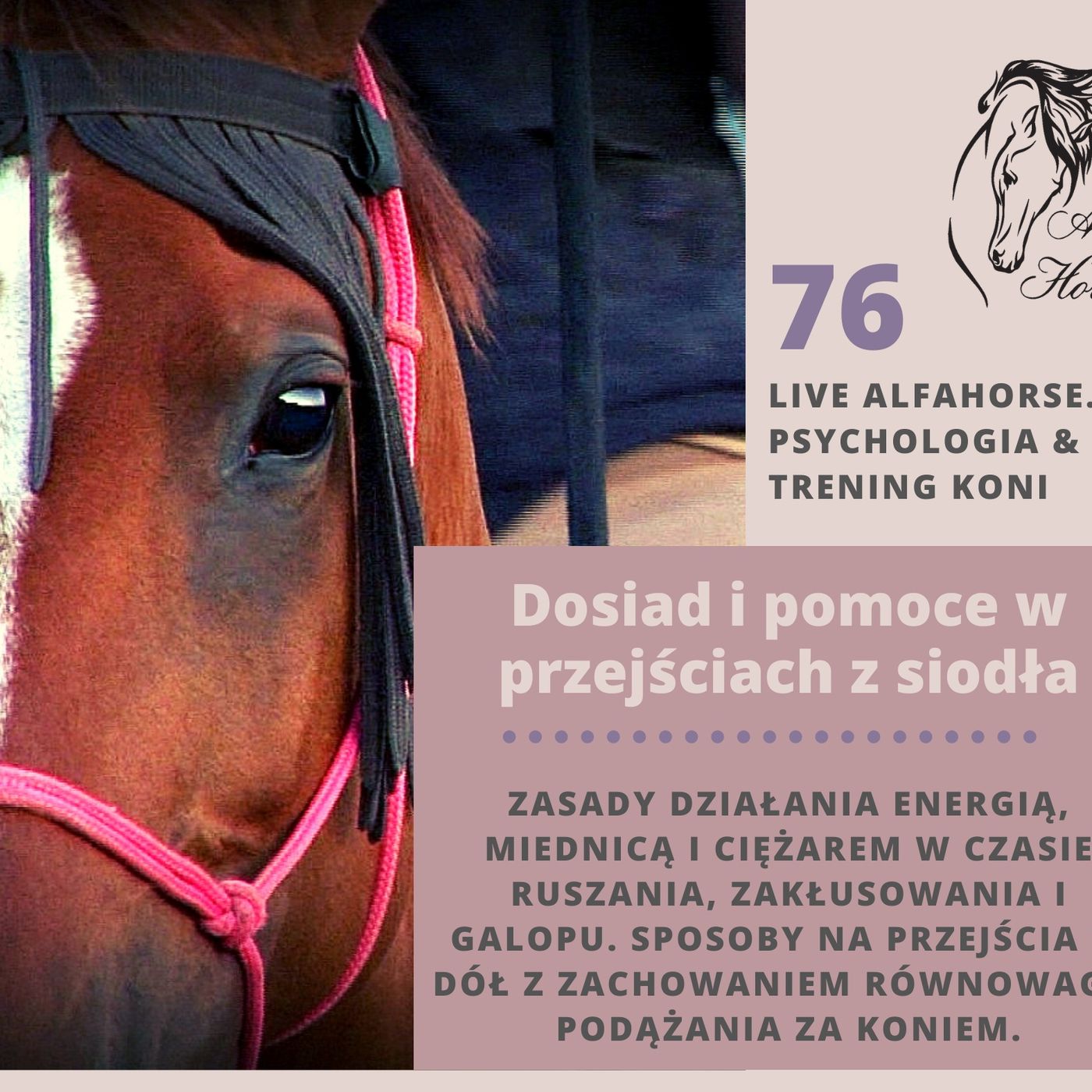 Live 76: Dosiad i pomoce w przejściach z siodła episode artwork