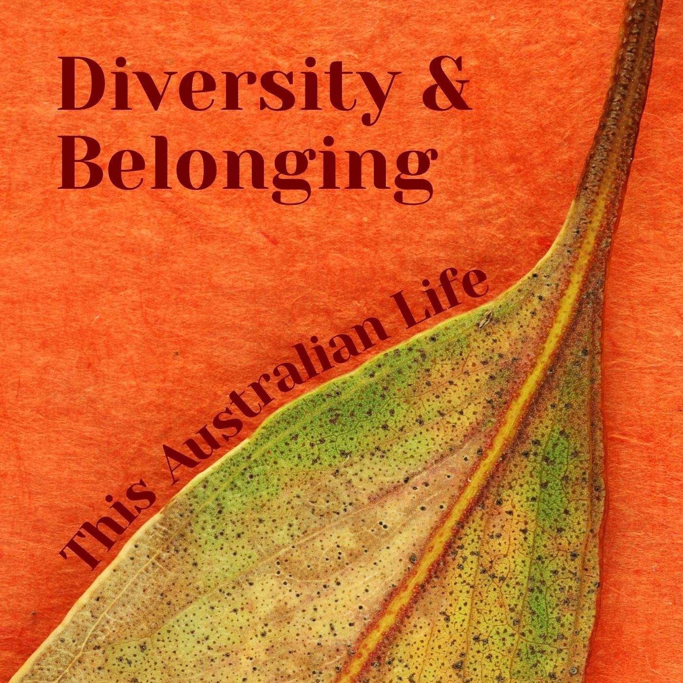Diversity & Belonging: This Australian Life