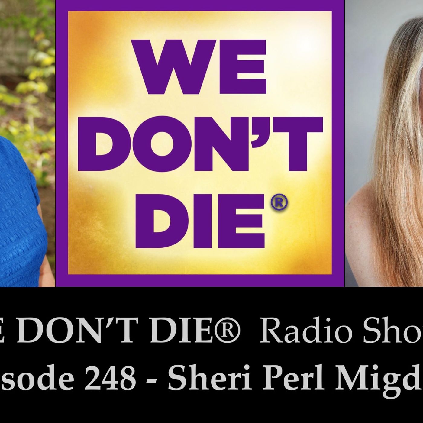 248  Sheri Perl Migdol - Afterlife Communication through Electronic Voice Phenomena, Free Training, Her New Book and More