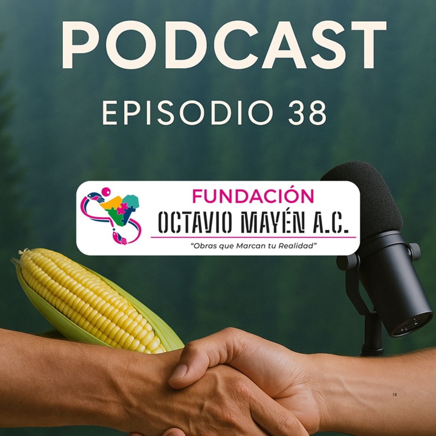 Episodio 38.- día del maíz, del corazón y de los programas activos episode artwork