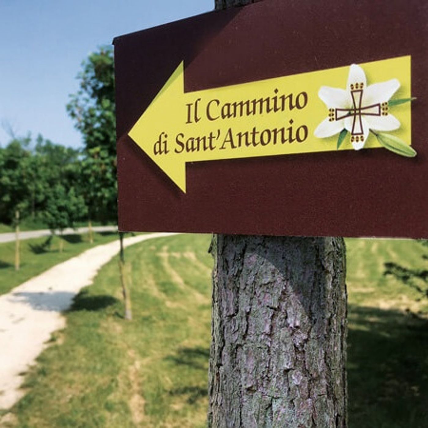 20/08/2024 - Il cammino di Sant'Antonio con partenza da Gemona episode artwork