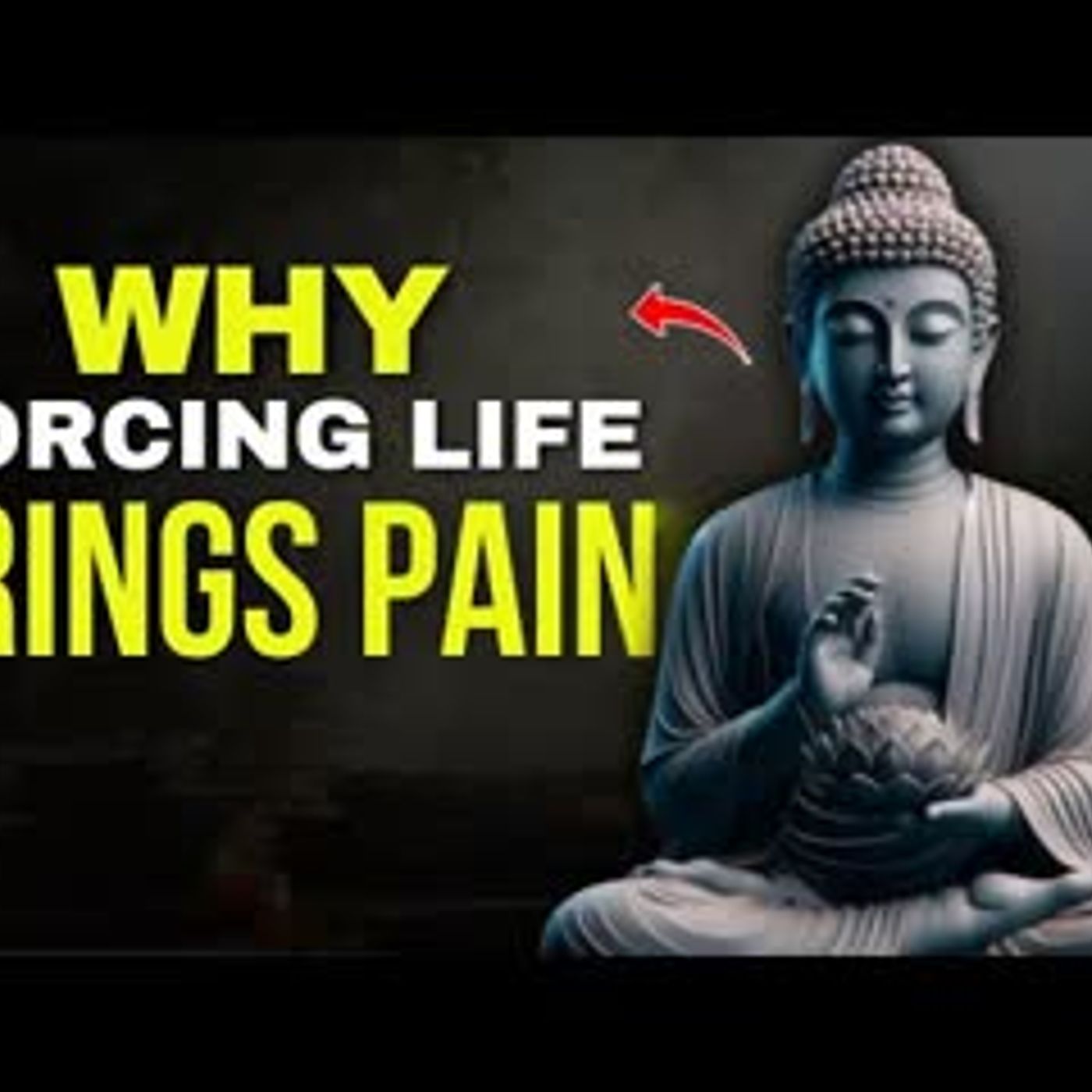 Don't Force Anything on Your Life    Buddhist Wisdom   Buddhist Philosophy