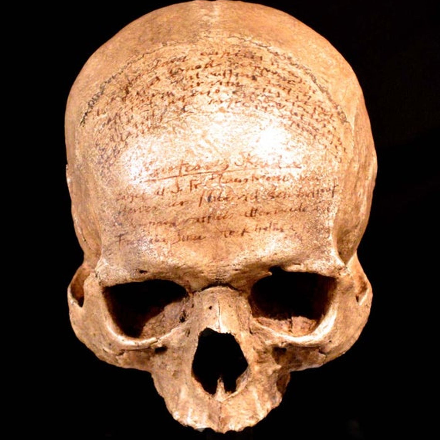 Un uomo davvero fuori di testa - Cartesio Un uomo davvero fuori di testa - Cartesio