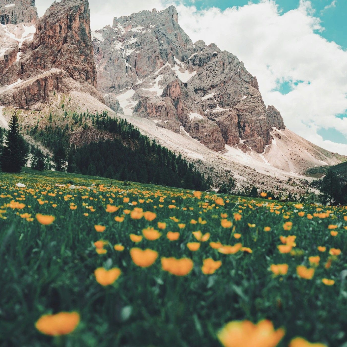 Monfrague