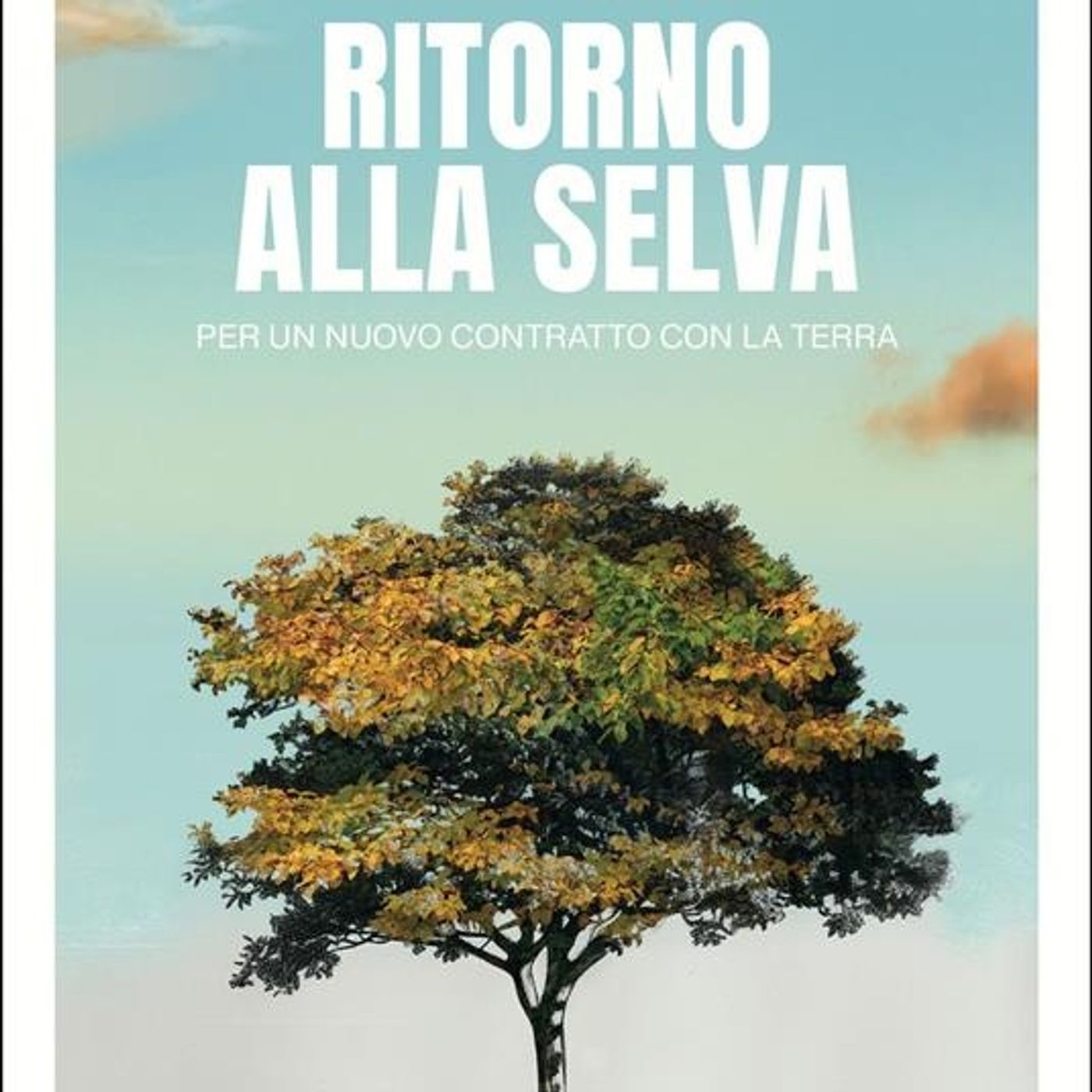 Francesca Brocchetta "Ritorno alla selva"