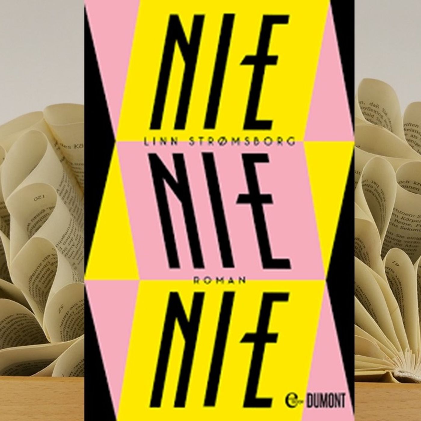 16.01. Linn Strømsborg - NIE, NIE, NIE (Renate Zimmermann) episode artwork