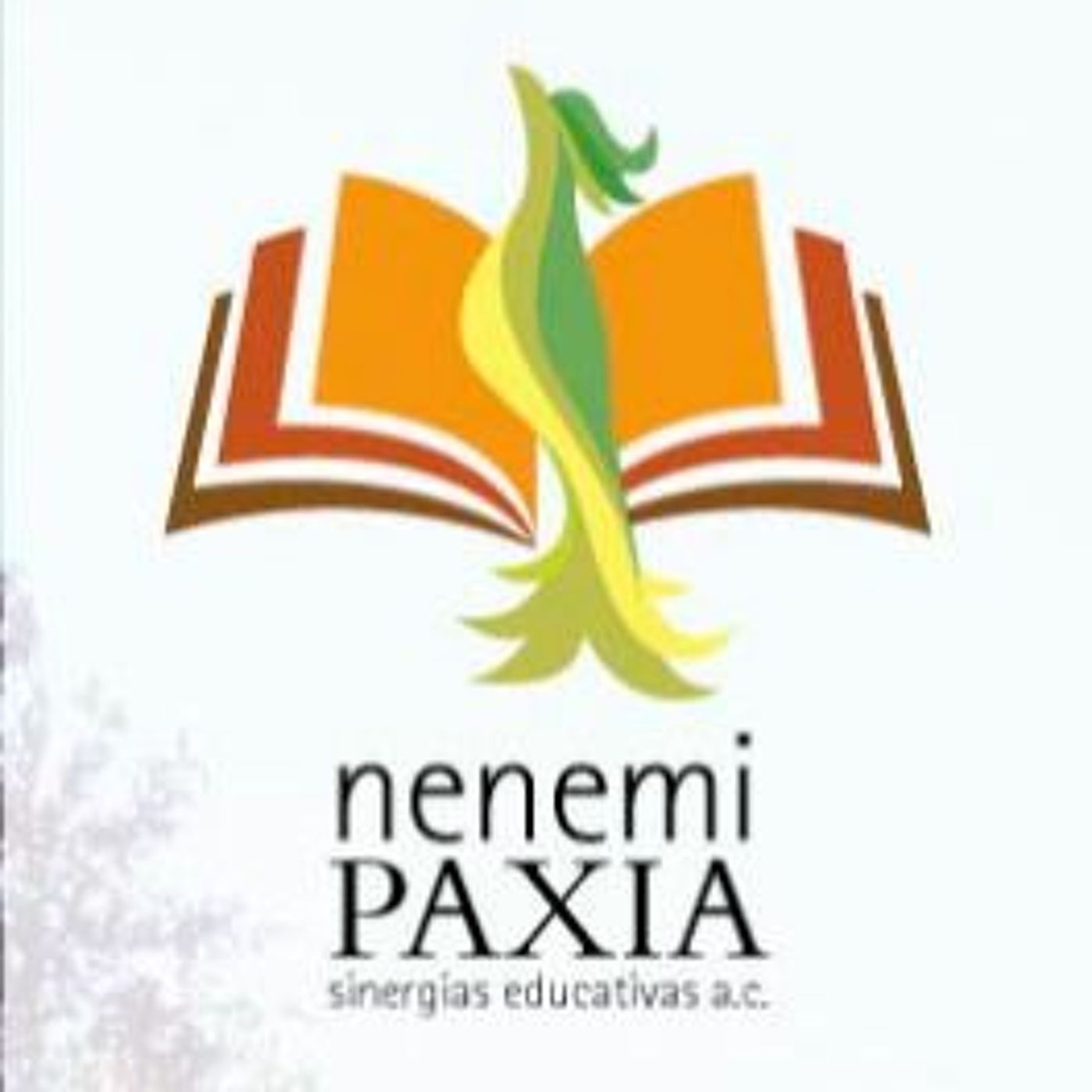 Las abejas piconas, en tojol-ab’al