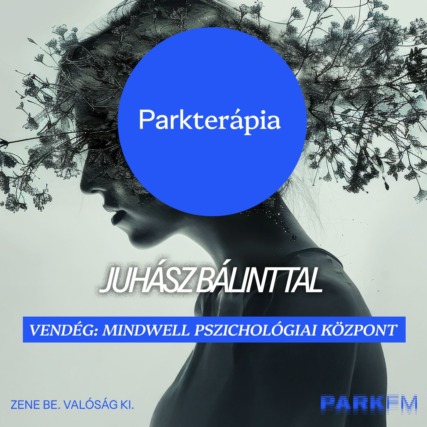 A social media veszélyei - Mindwell | Park FM Parkterápia Juhász Bálinttal episode artwork