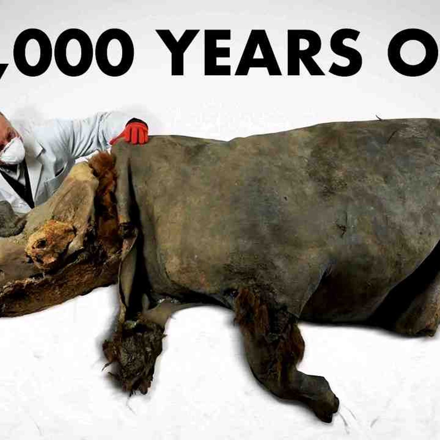 Every Extinct Animal We Have Found In Permafrost_ episode artwork