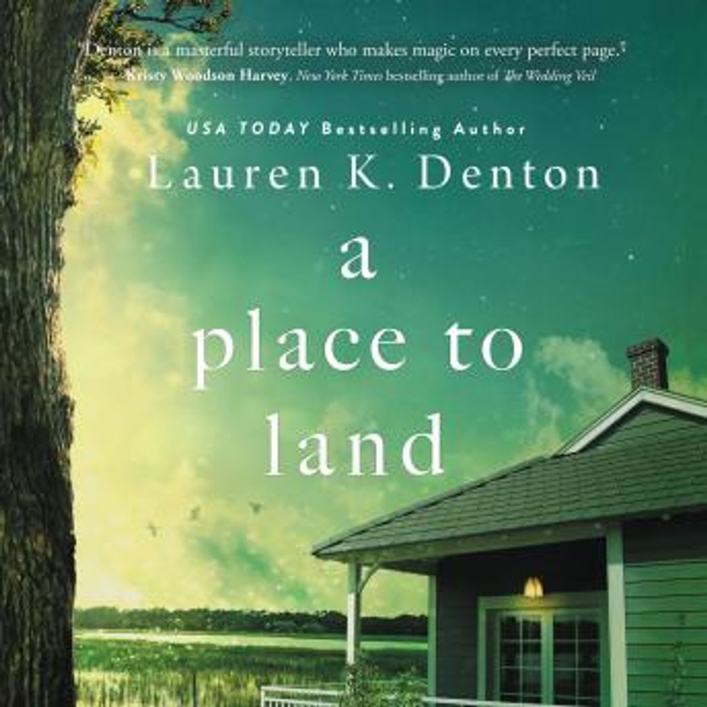 A Place to Land by Lauren K. Denton episode artwork