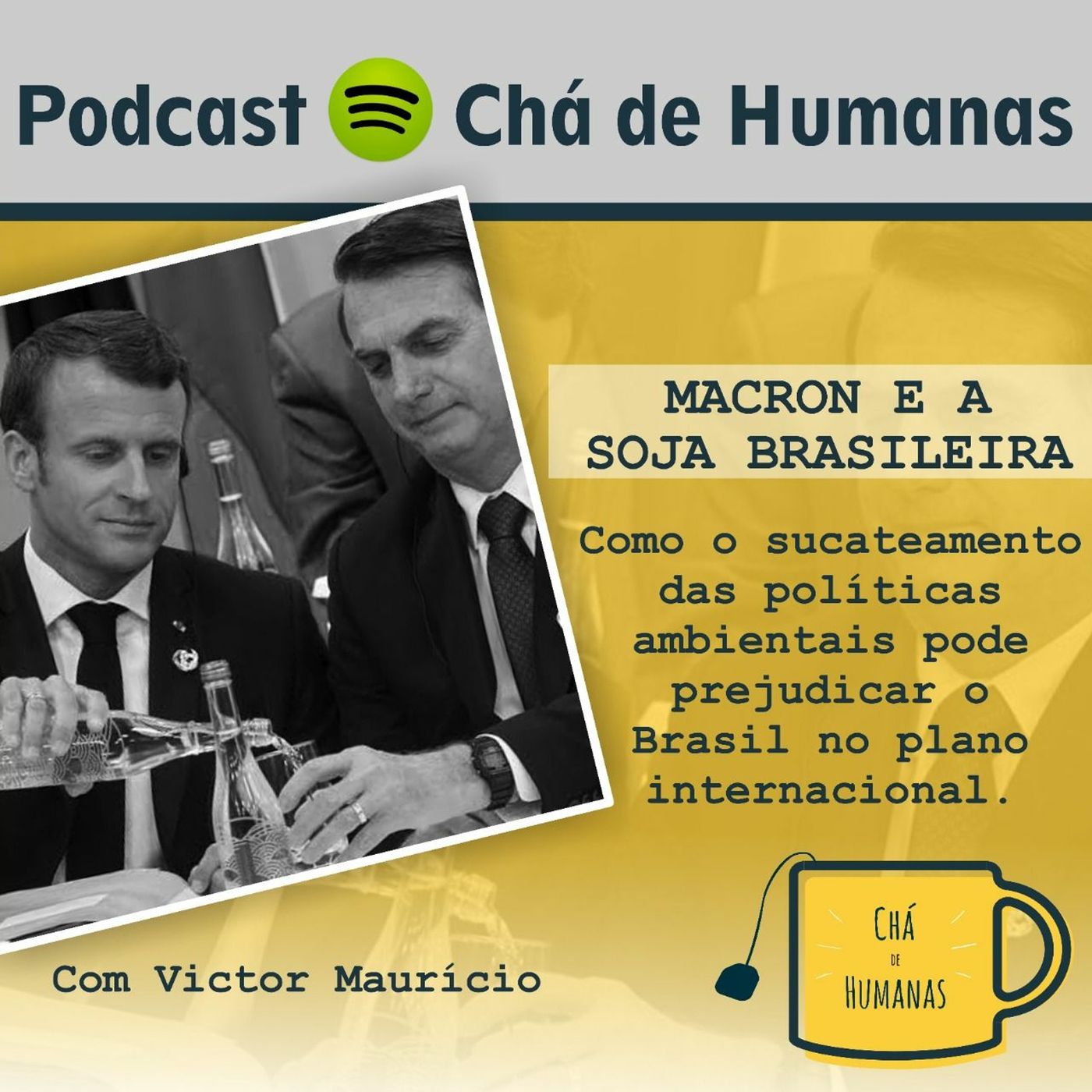 Chá de Humanas