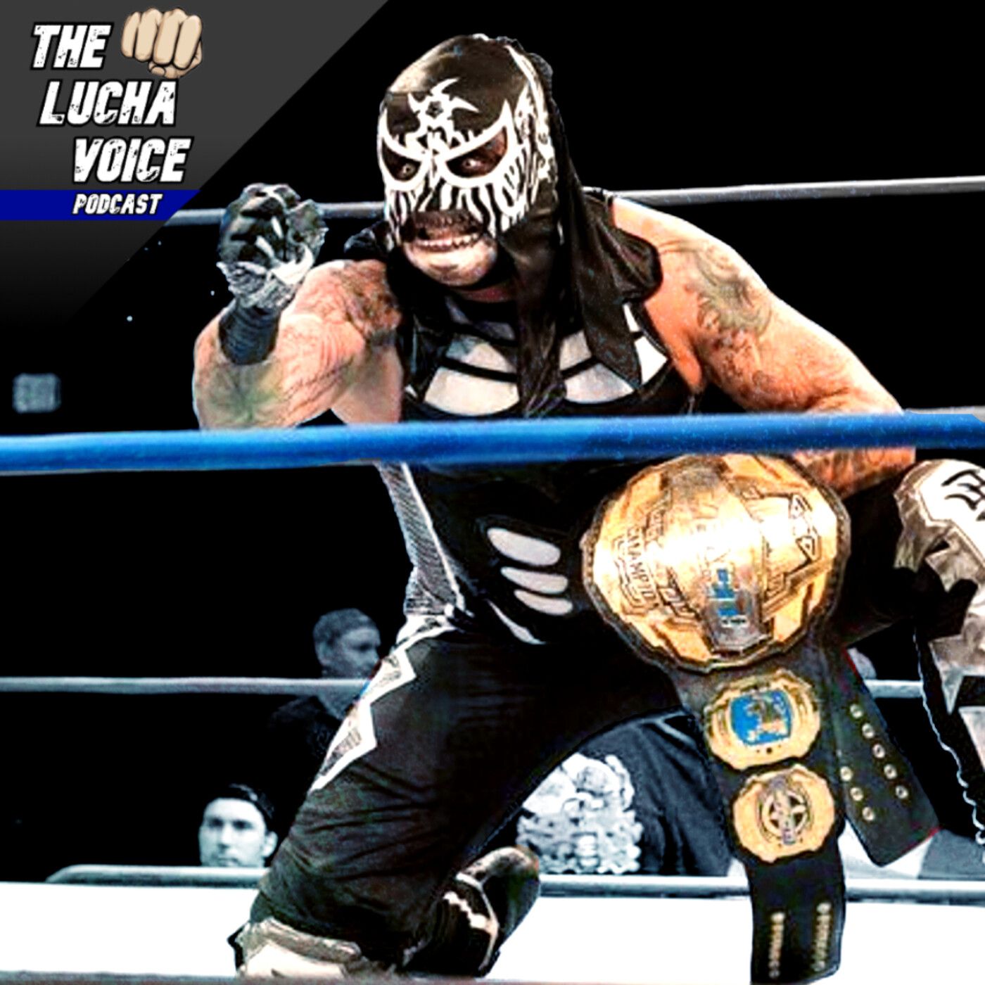 The Lucha Voice