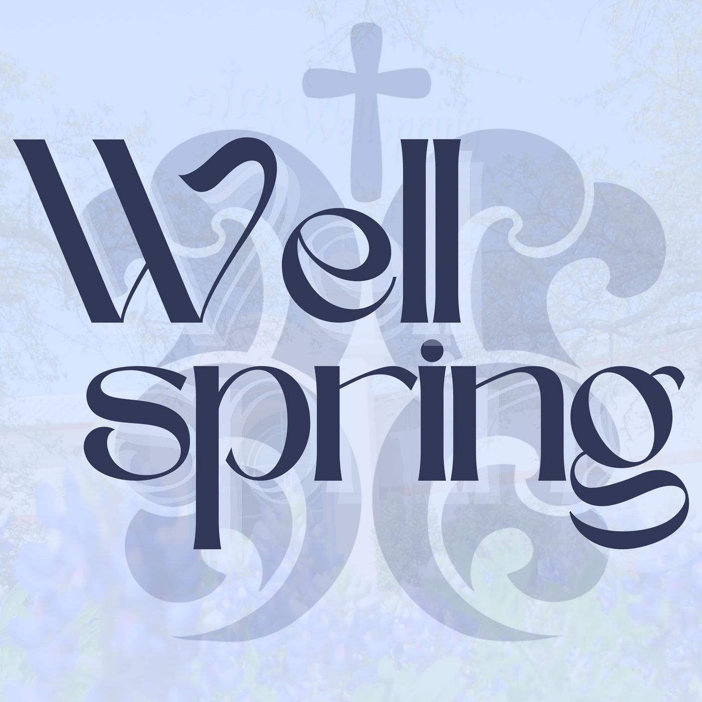 Wellspring Georgetown