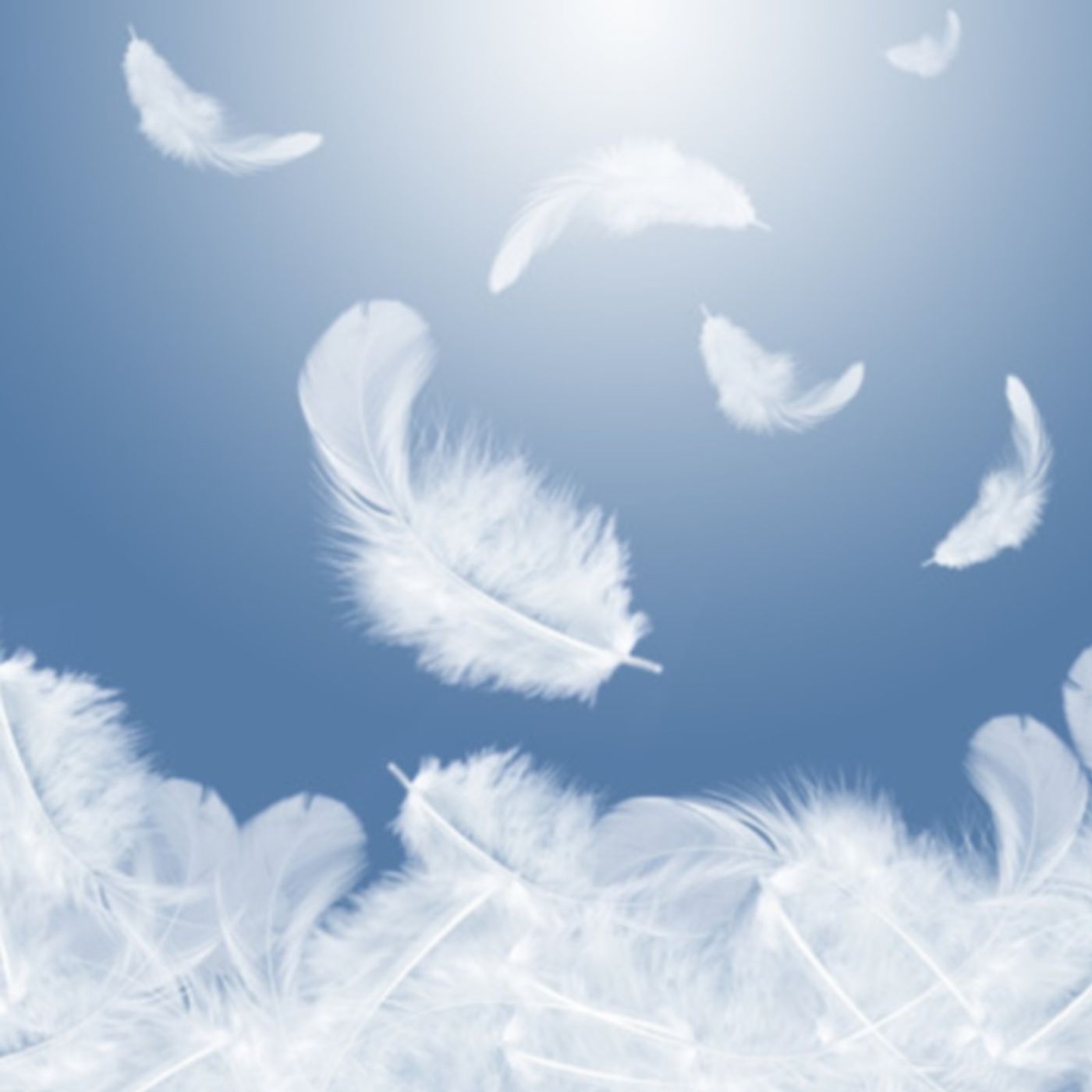 Las plumas y sus señales episode artwork