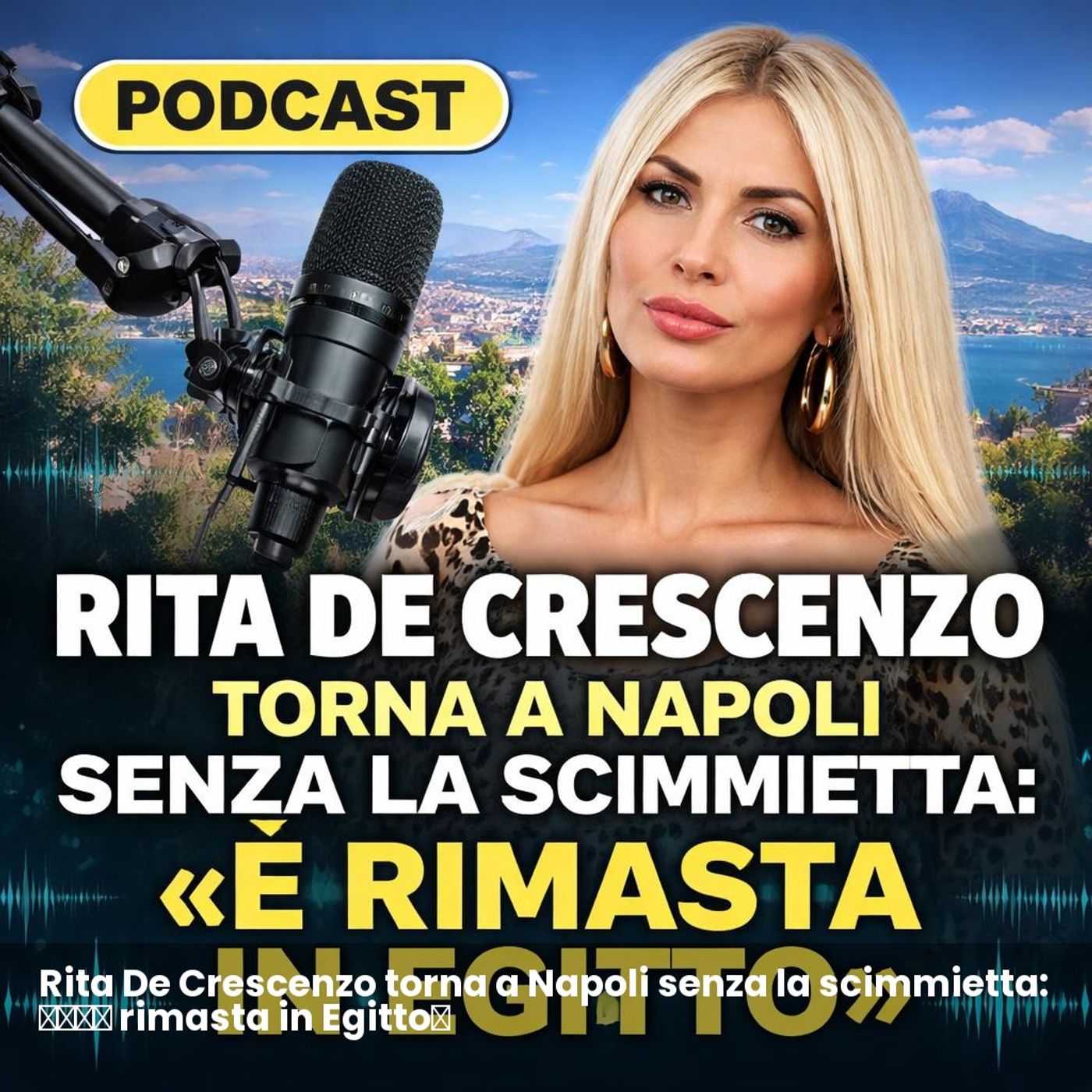 Rita De Crescenzo torna a Napoli senza la scimmietta: «È rimasta in Egitto» episode artwork