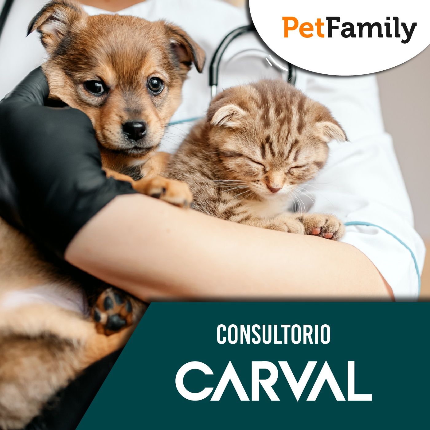 Tiempo de Pet Family