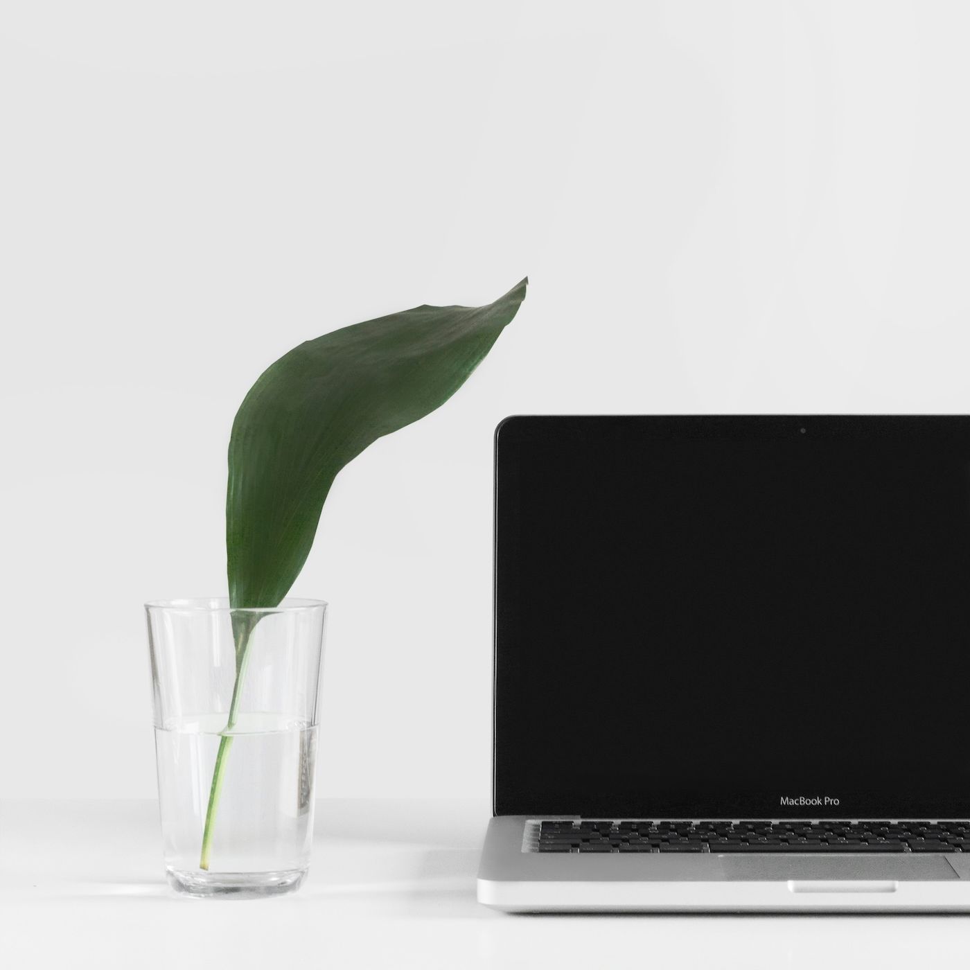 Innovation Weekly
