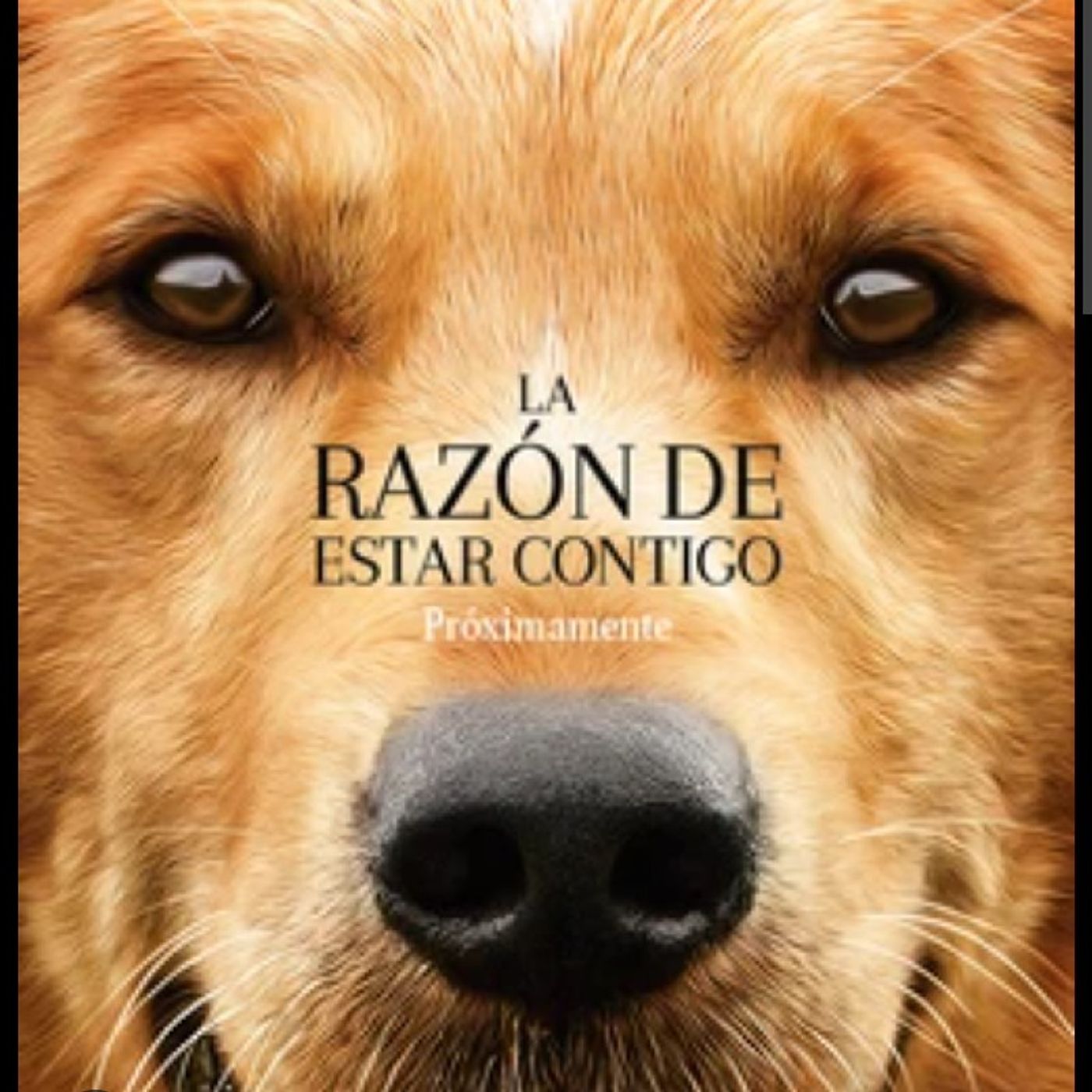Mi primer episodio sobre la razón de estar contigo episode artwork