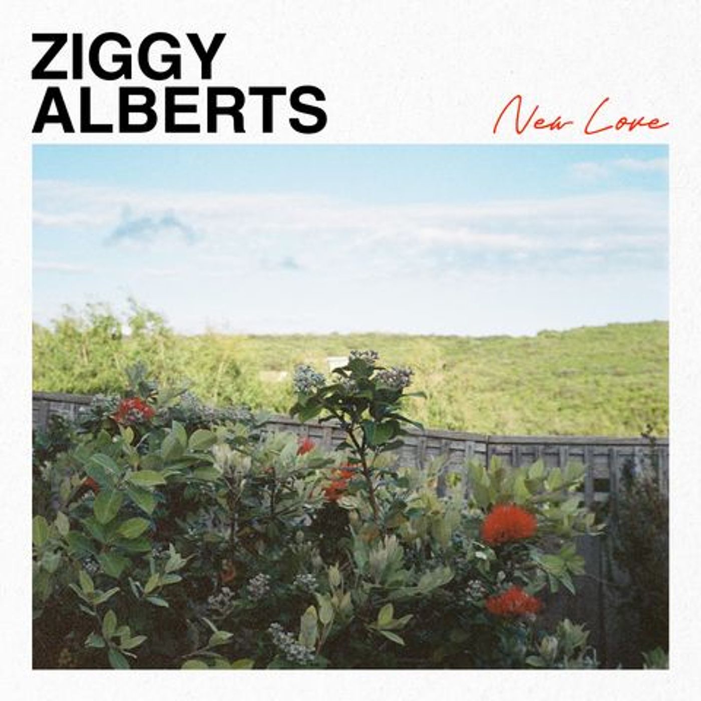 Ziggy Alberts On #AfternoonDriveWithJan-Willem episode artwork