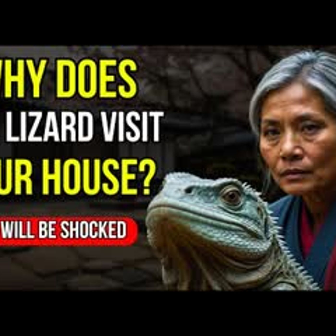 The Spiritual Meaning of the Lizard in your House You'll Be SHOCKED ✨Buddhist Teachings
