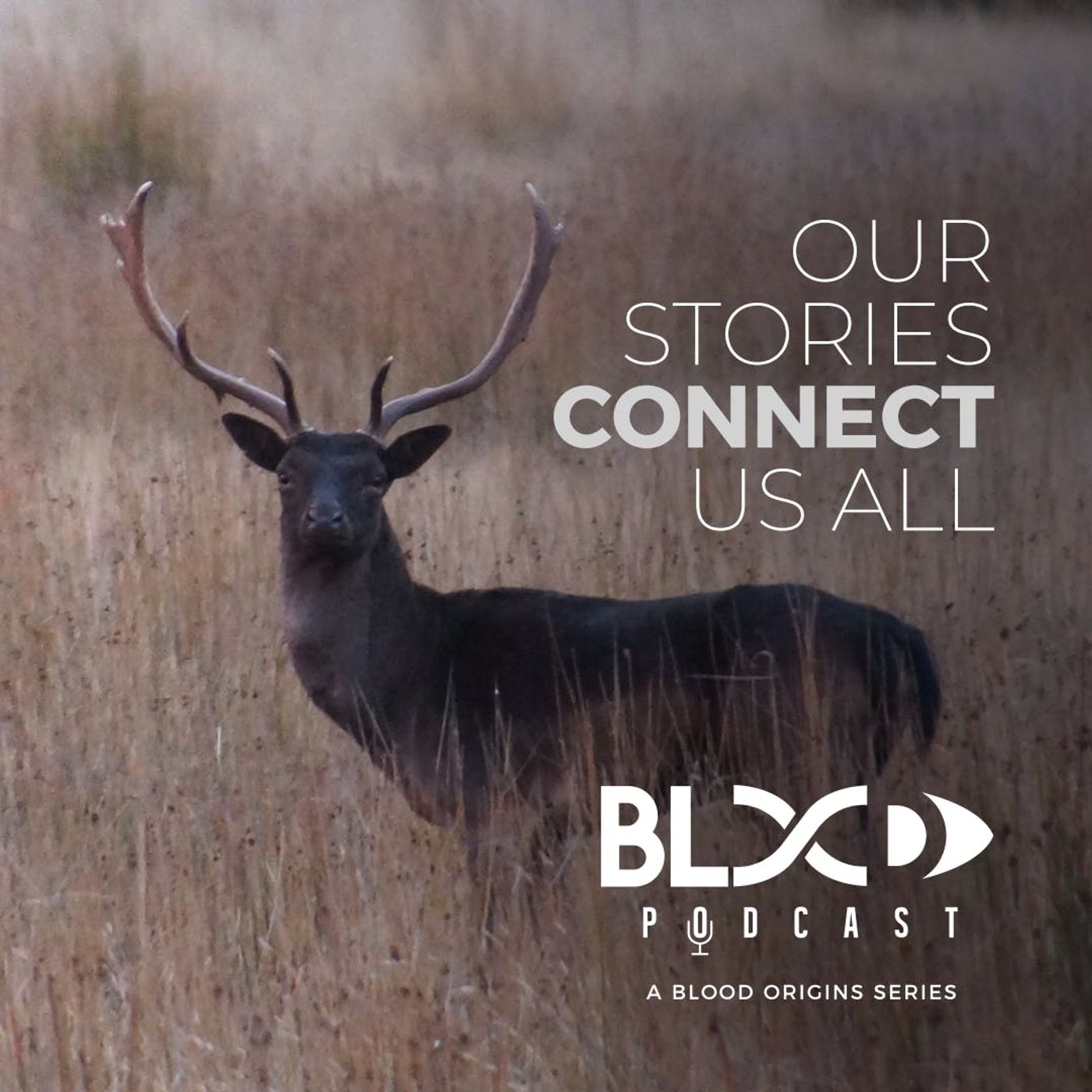 Blood Origins