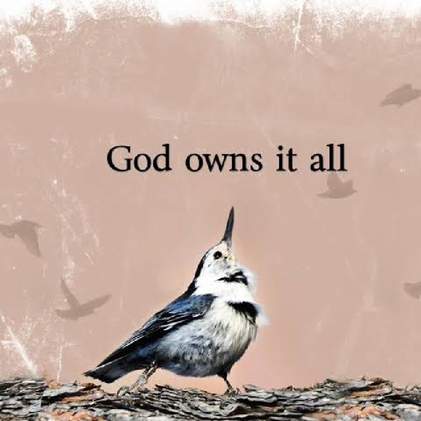 Episode 746 - A REMINDER THAT GOD OWNS OUR LIVES episode artwork