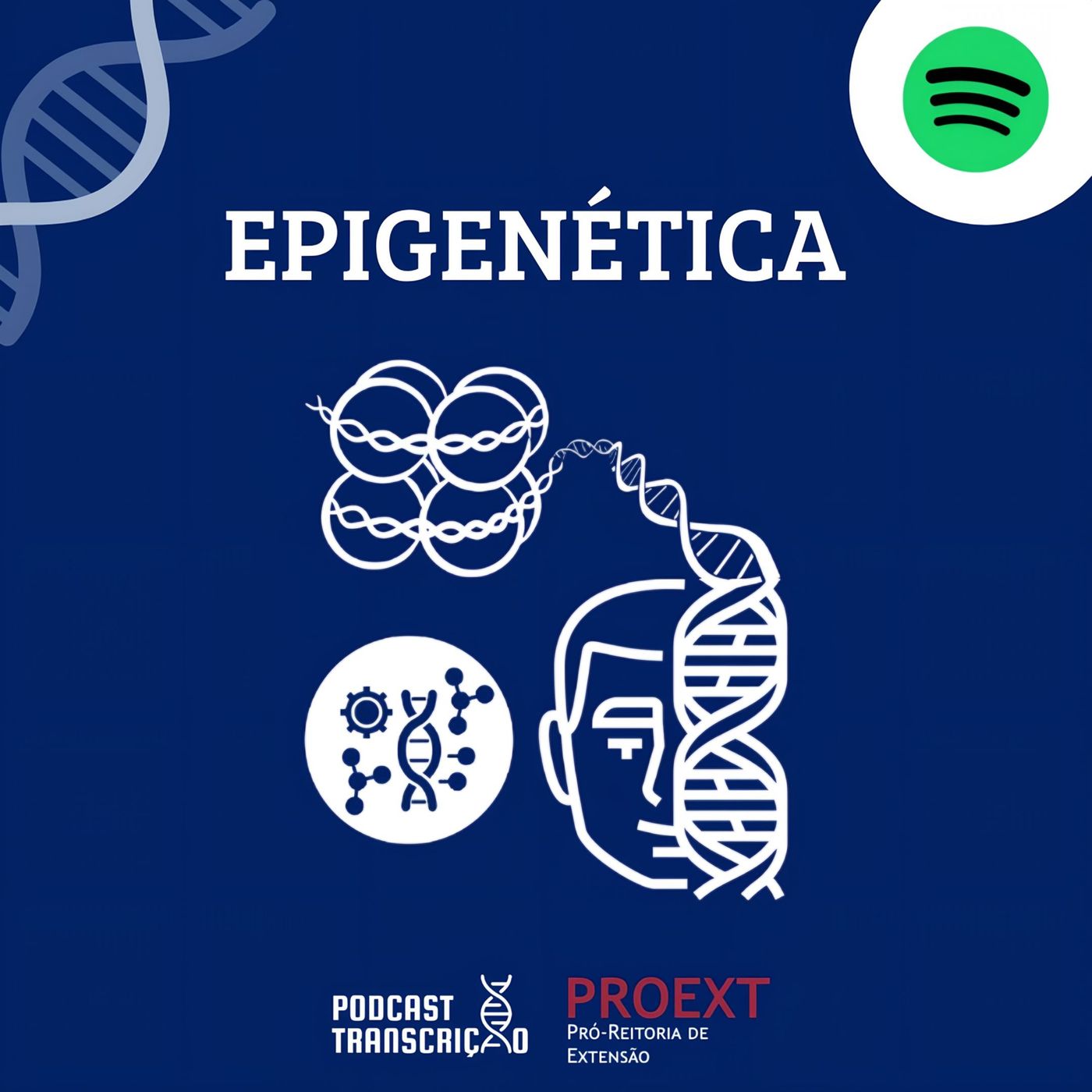 Podcast Transcrição