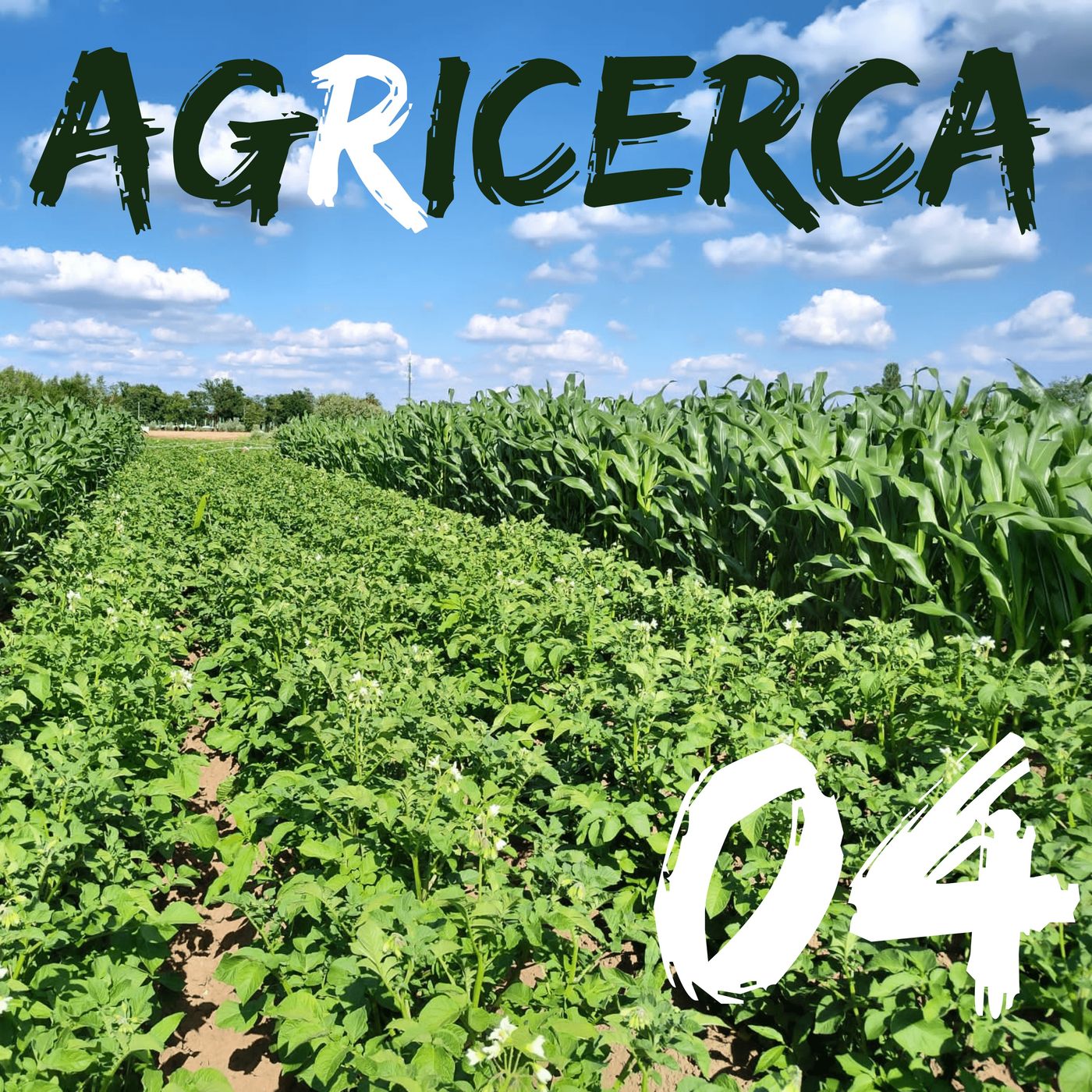 agRicerca
