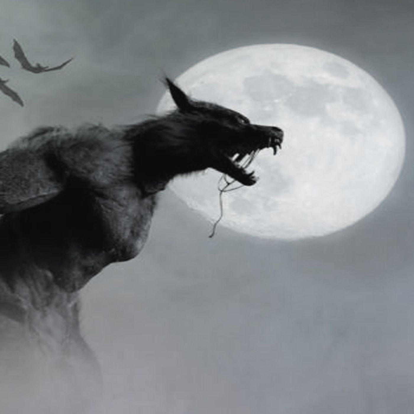 Liberamos A Un Nahual Y Terminó En Tragedia Historias De Terror - Voces De La Noche