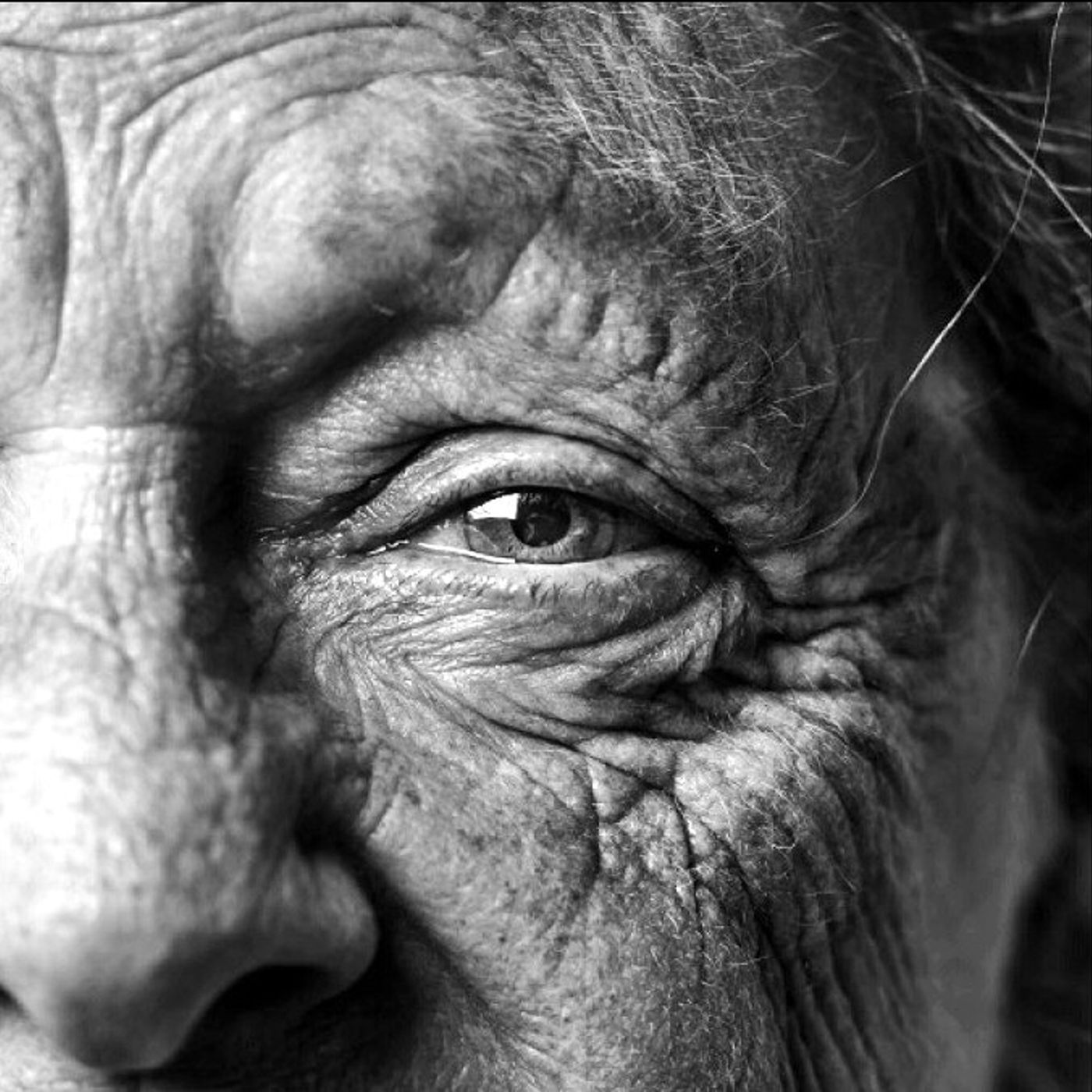 Los abandonados: Adultos Mayores cover art