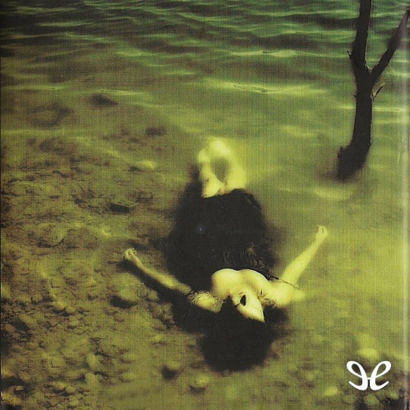 (Resumen) Caso abierto - Brian Freeman