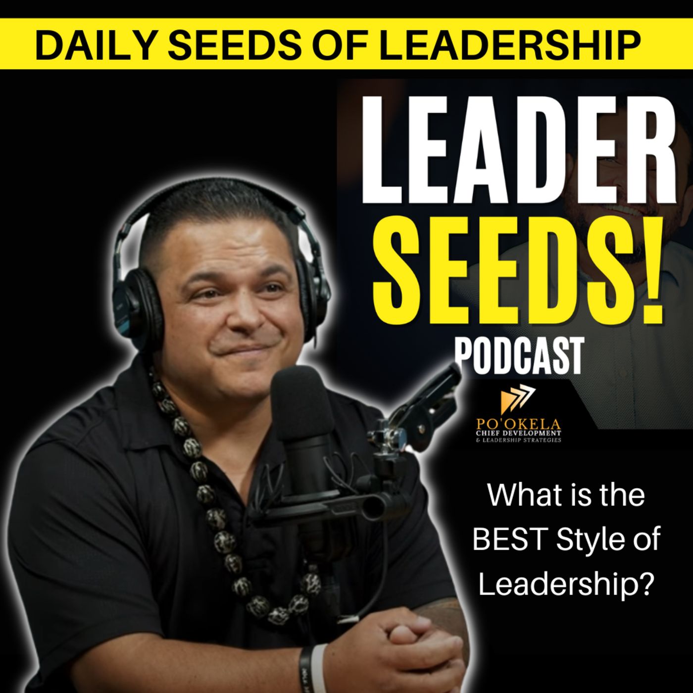 What is the BEST style of Leadership? episode artwork