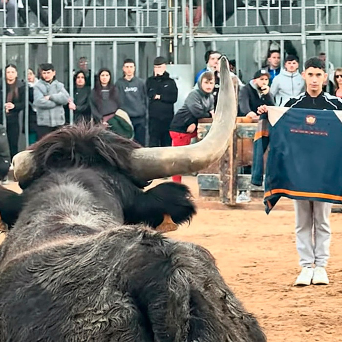 Hablemos de Toros