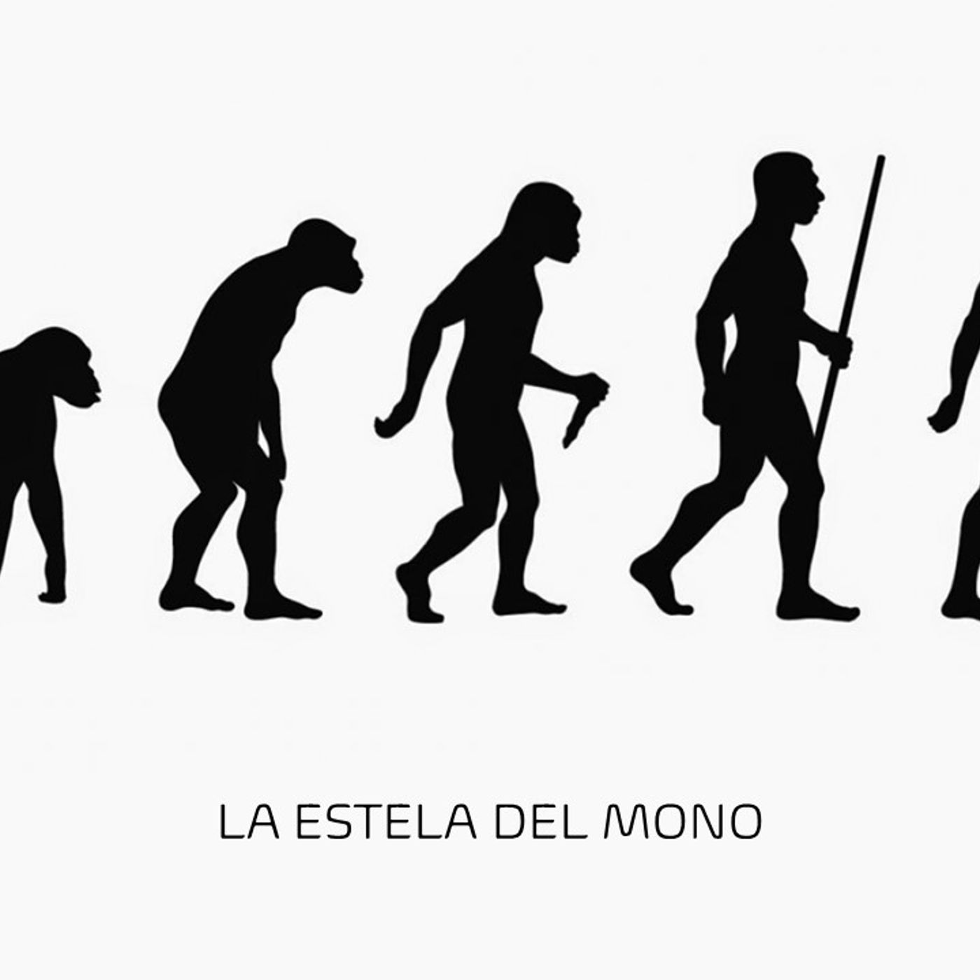 La estela del mono