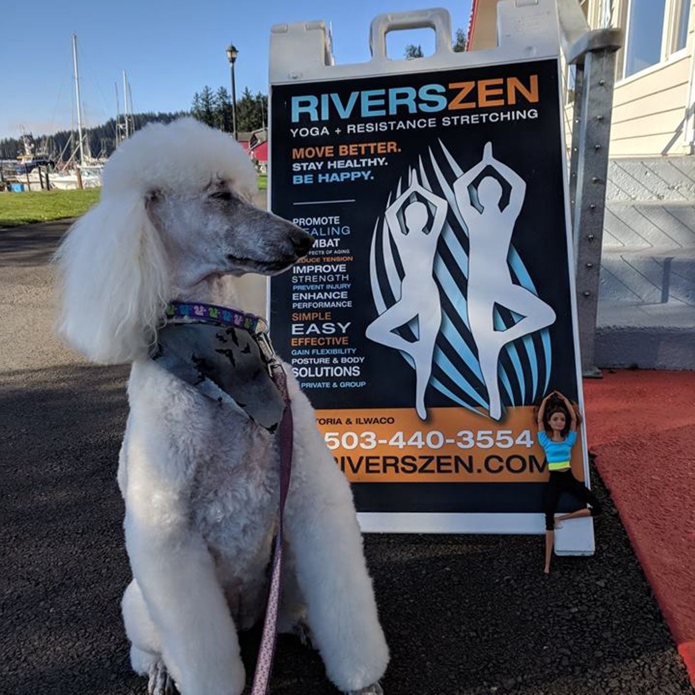 RiversZen Today