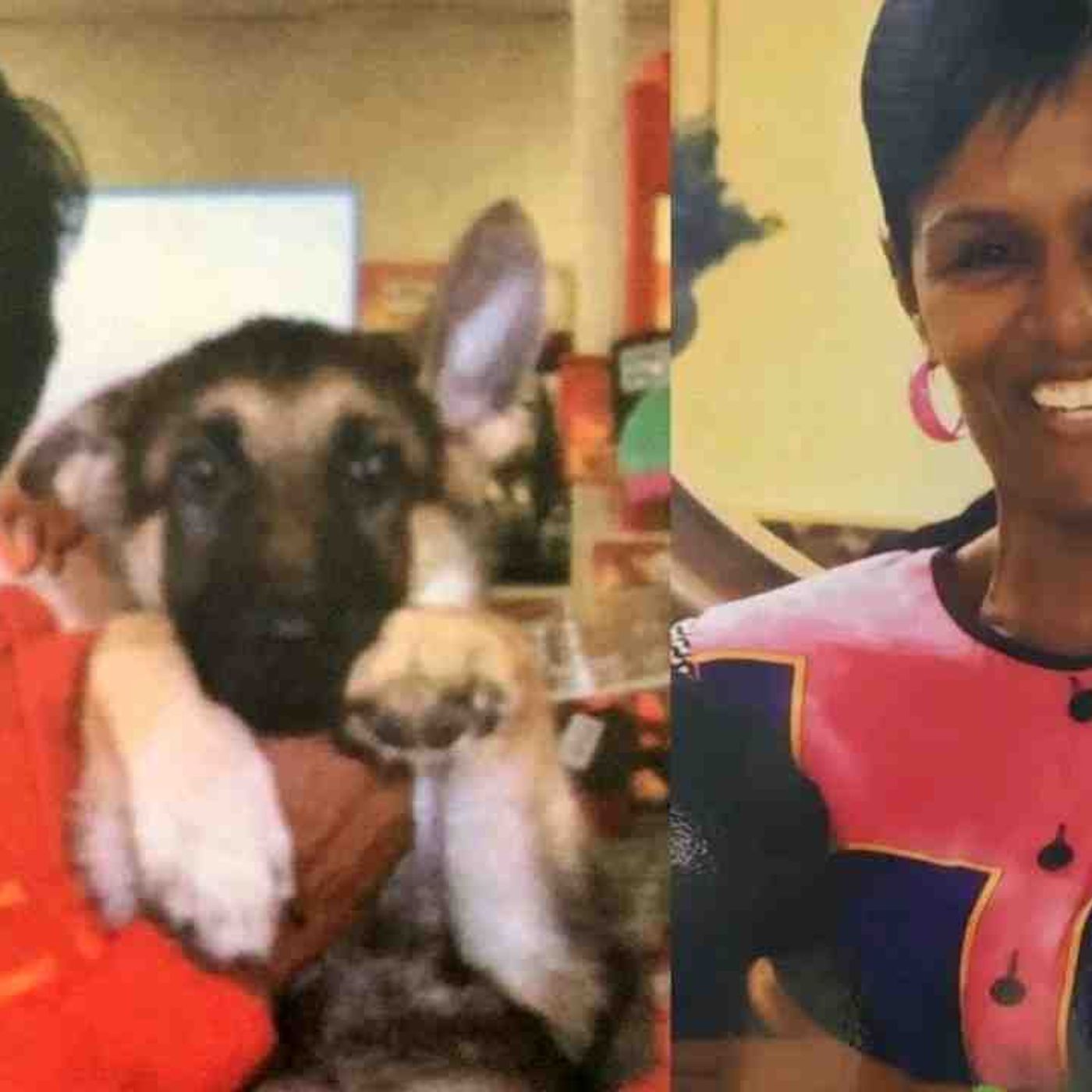 Woman shot with her own gun on dog walk episode artwork