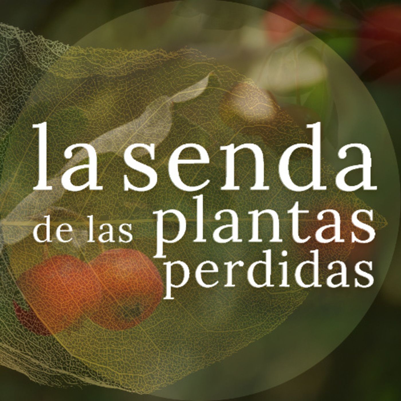 La Senda de las Plantas Perdidas