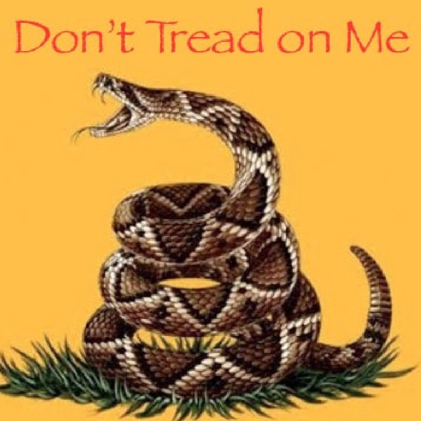 American Christian Patriot Radio episode artwork
