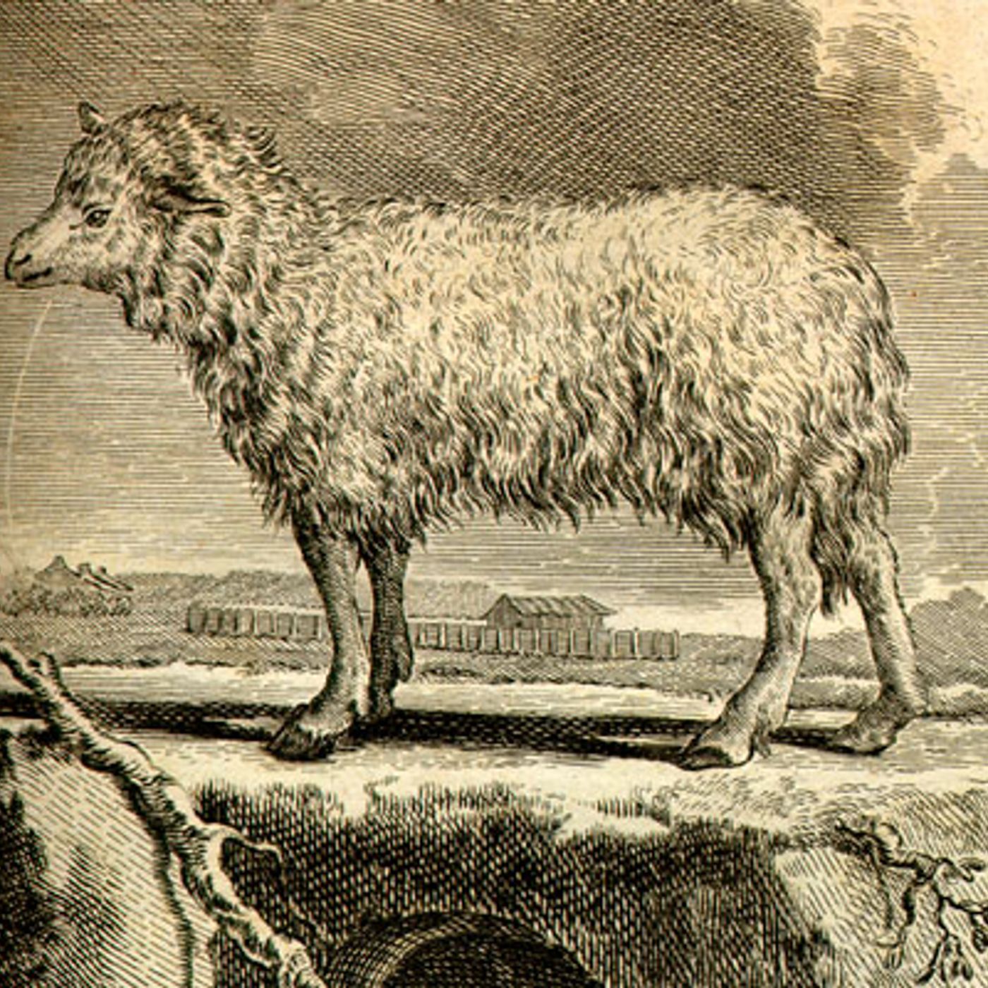 William Blake episode artwork