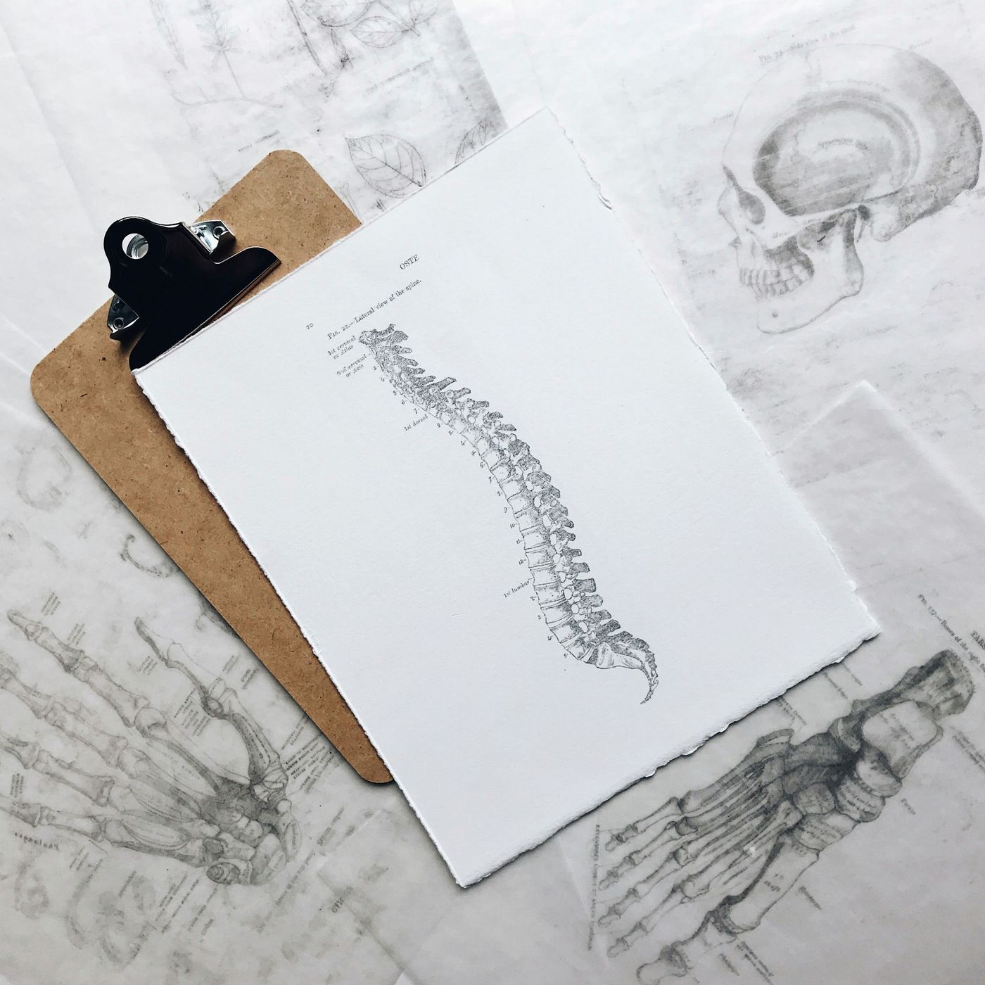 Historias de nuestros médicos: Con el Dr. Rafael González Díaz episode artwork