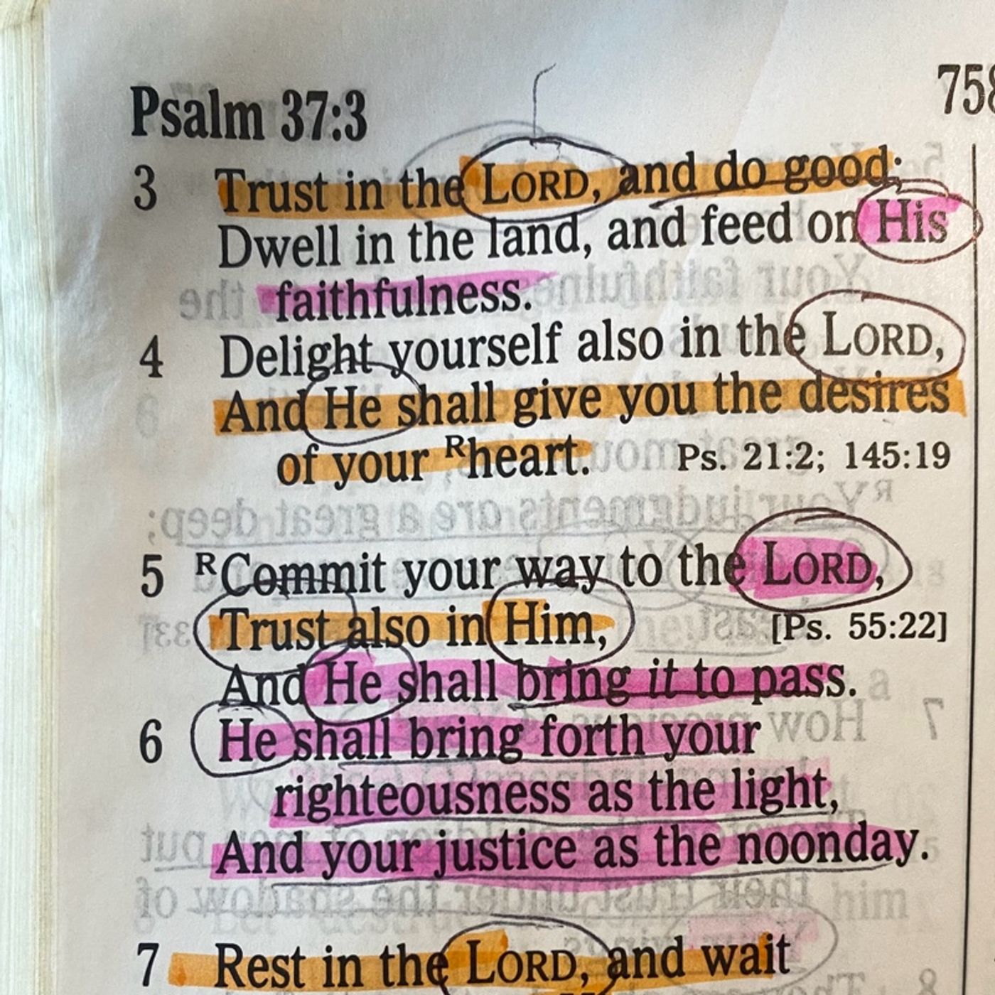 Psalm 37 Excerpt Beautiful Word