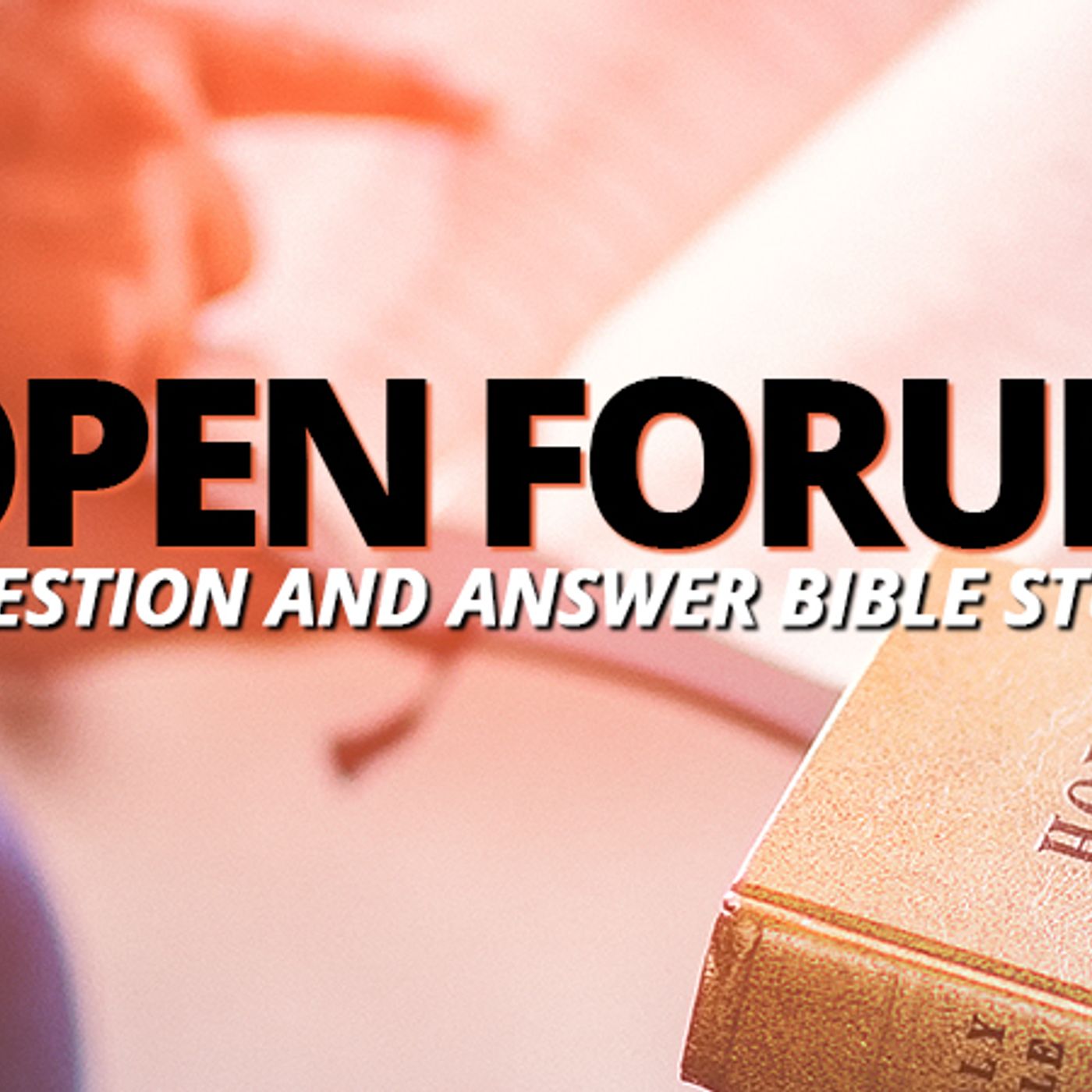 NTEB RADIO BIBLE STUDY: Join Us For Another NTEB 'Open Forum' Rightly Divided King James Bible Question And Answer Study Night episode artwork