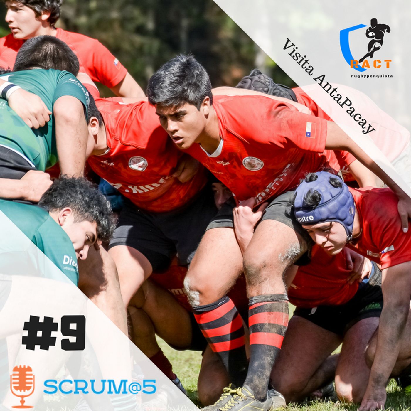 Scrum@5 El podcast del Rugby penquista