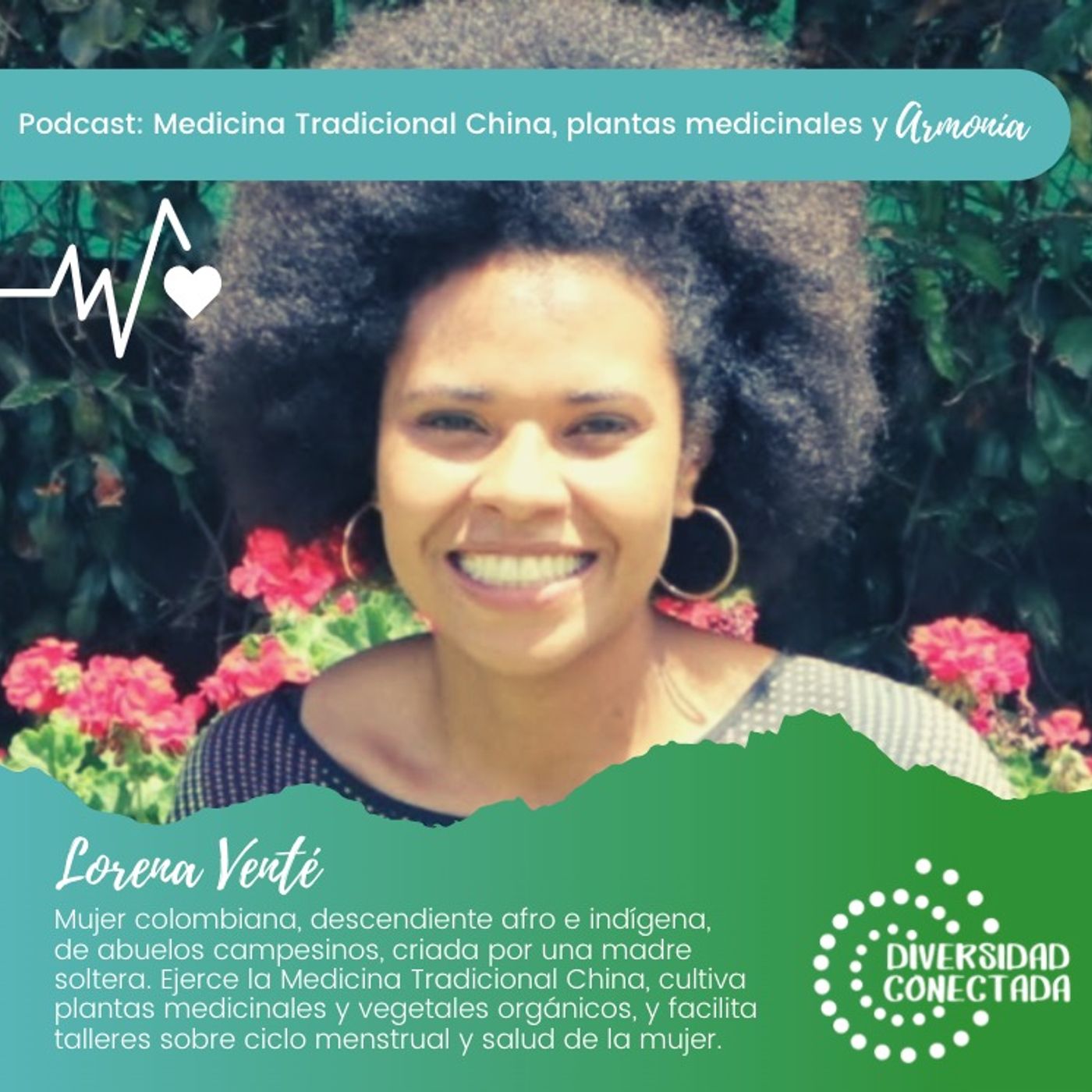 Diversidad Conectada