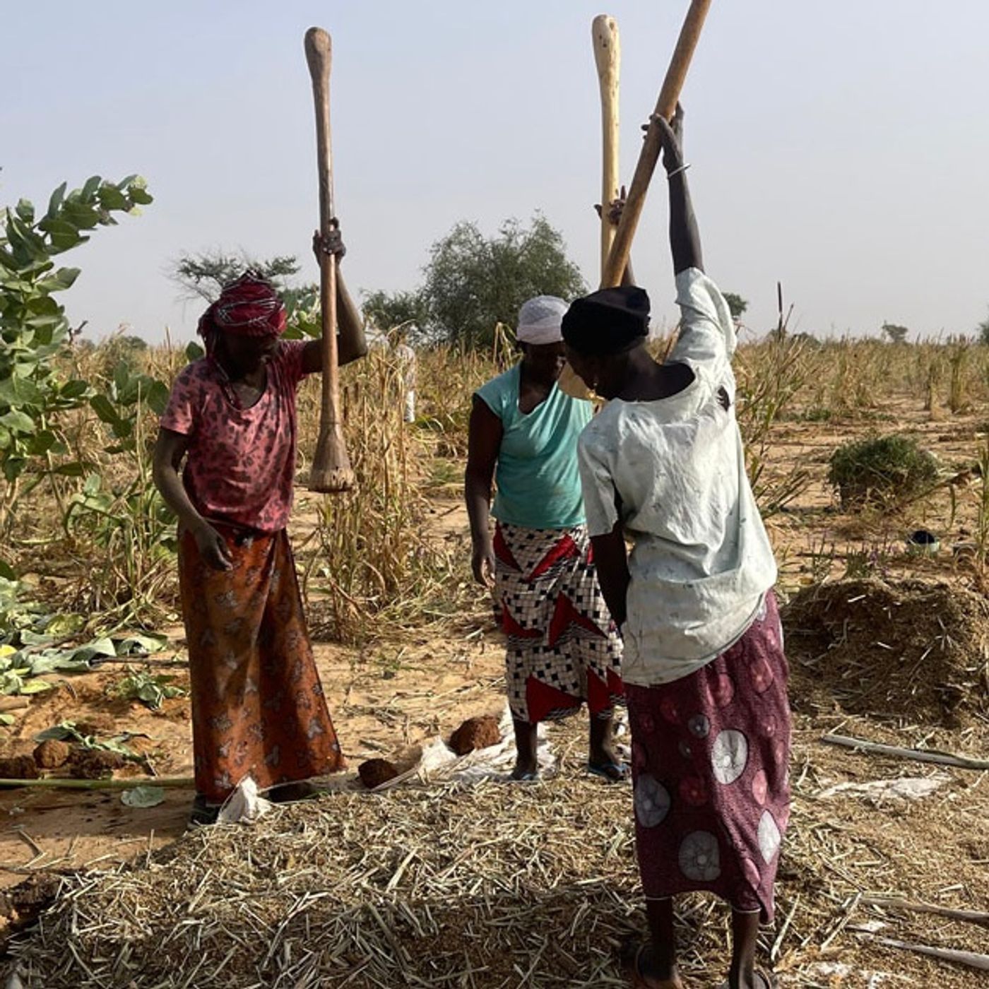 Studio Kalangou (hausa)