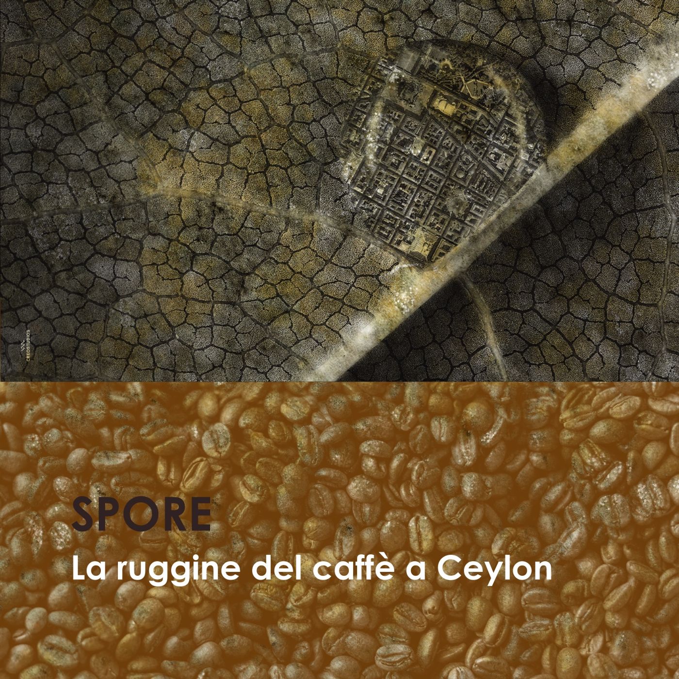 La ruggine del caffè a Ceylon episode artwork