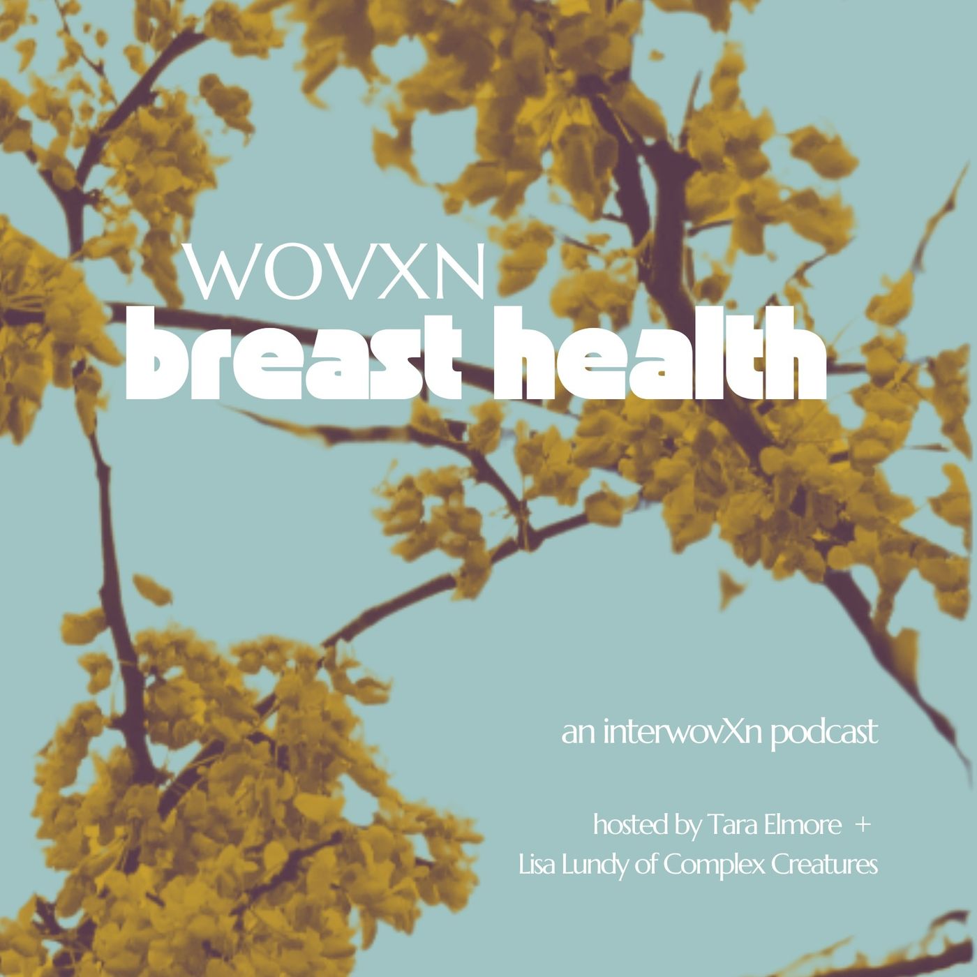 WOVXN Breast Health: What My Breasts Have Taught Me episode artwork