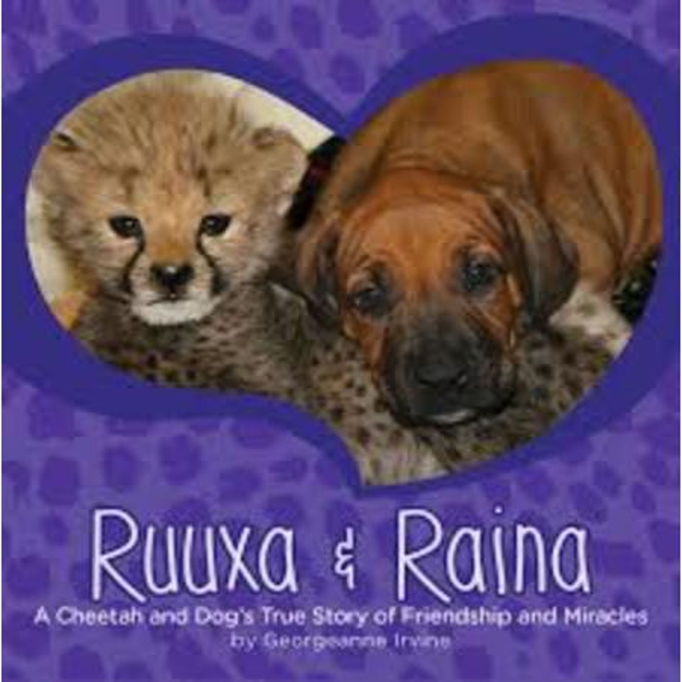 San Diego Zoo animals sharing stories of healing in children's books. episode artwork