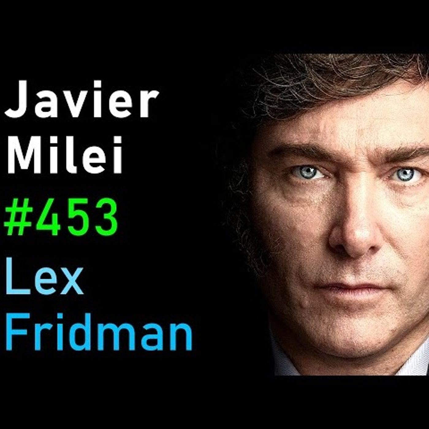 Javier Milei_ President of Argentina - Freedom_ Economics_ and Corruption _ Lex Fridman Podcast _453